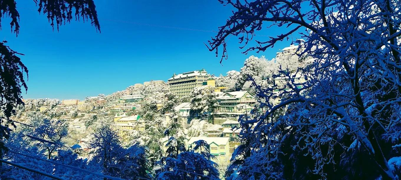 Crossroads Shimla (near Mall Road) x Solis Nature