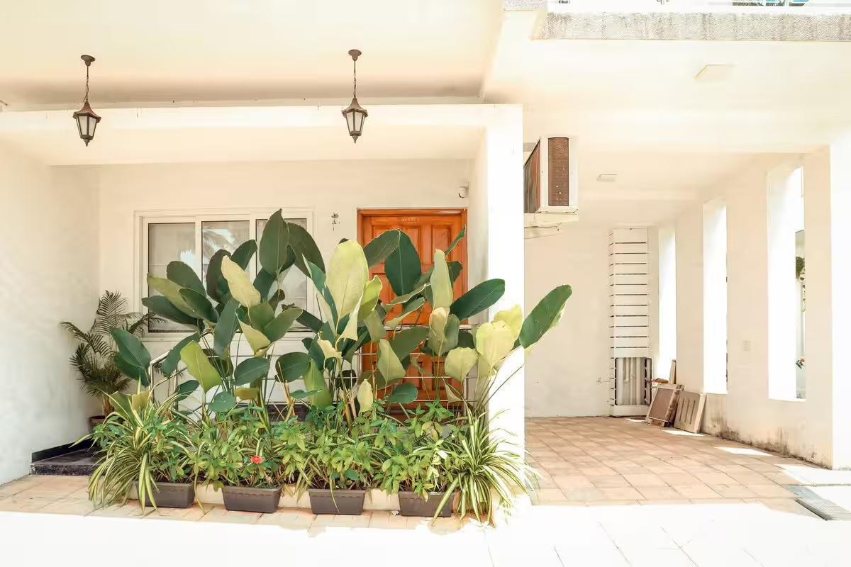 JD-104 Apartment - 1BHK Assagao x Solis Nature