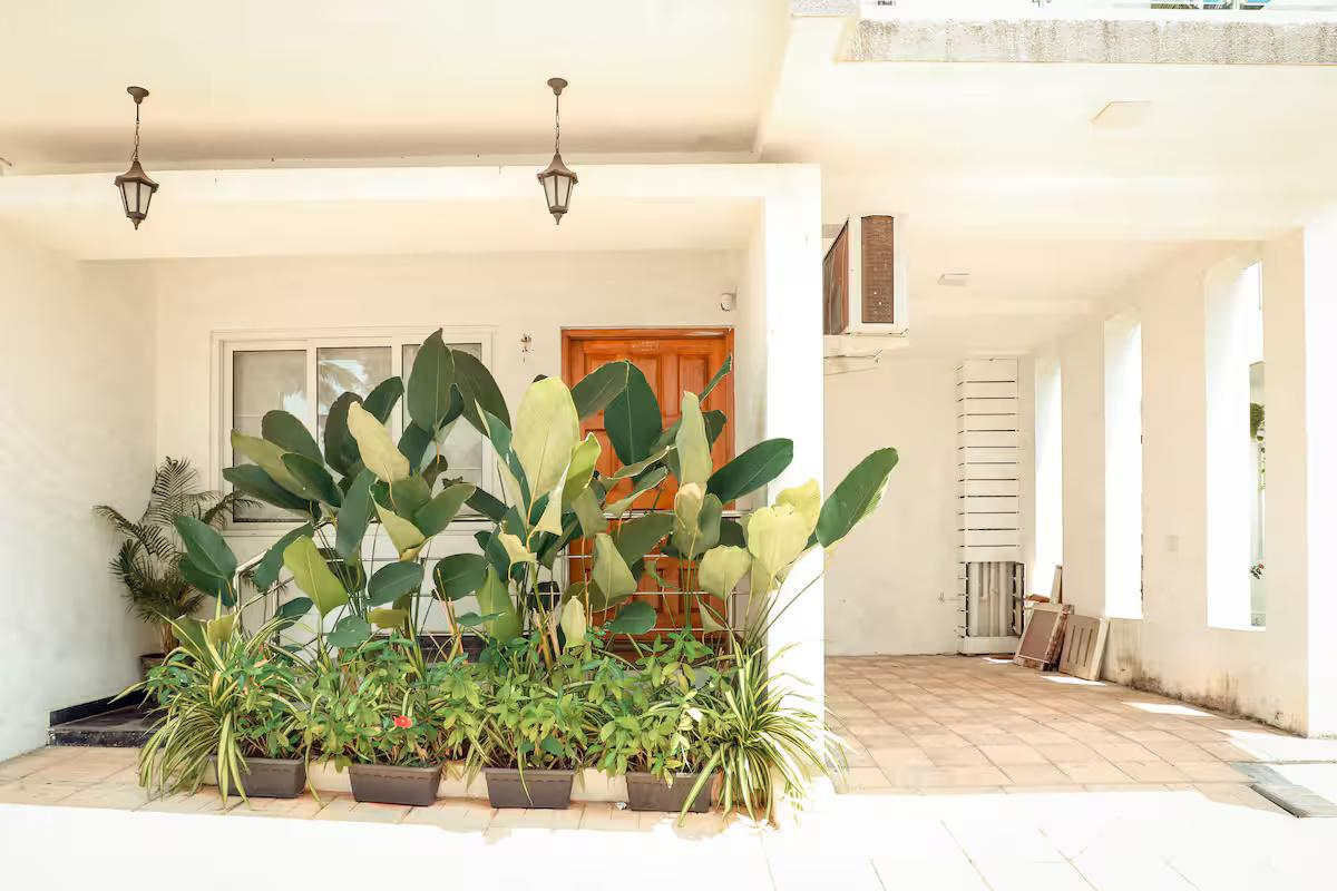 JD-104 Apartment - 1BHK Assagao x Solis Nature