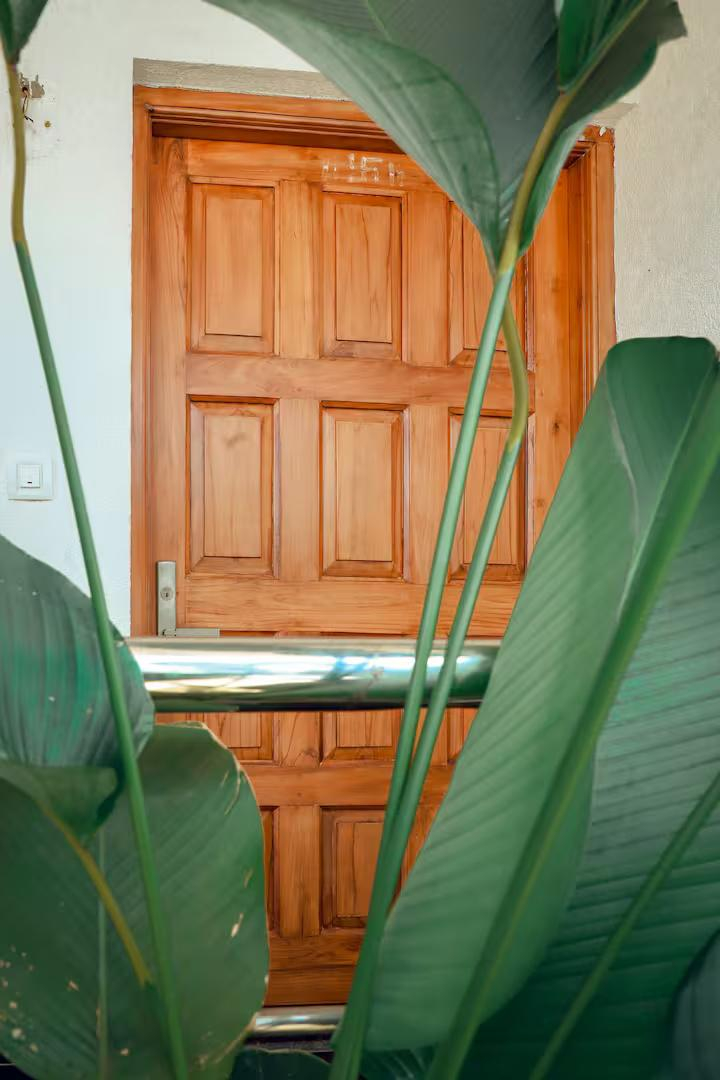 JD-104 Apartment - 1BHK Assagao x Solis Nature