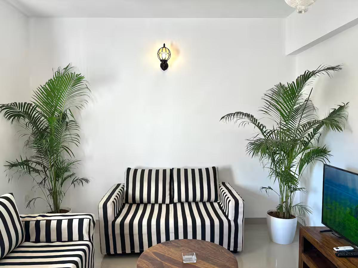 JD- 105 Apartment - 1BHK Assagao x Solis Nature