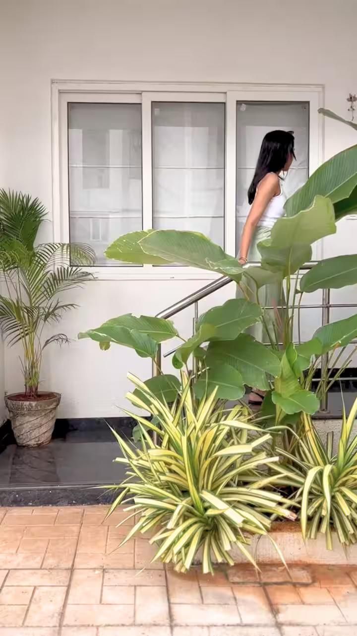 JD R2 Villa - 3BHK Assagao x Solis Nature