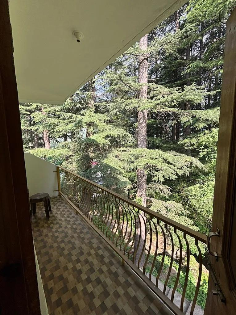 Asha Cottage x Solis Nature