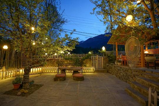 Uncle Nomad x Solis Nature