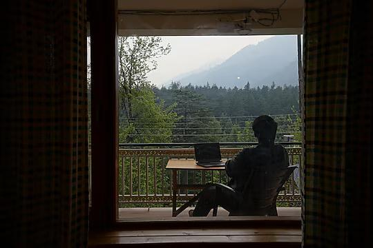 Uncle Nomad x Solis Nature