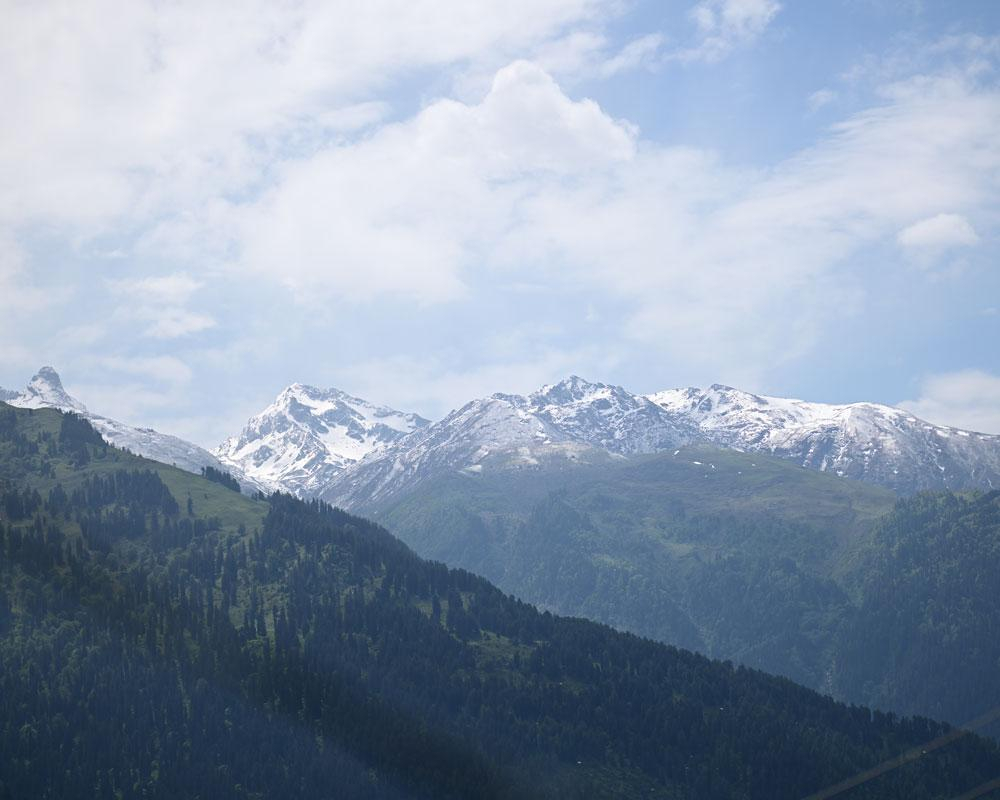 The Alpine Escape, Manali x Solis Nature