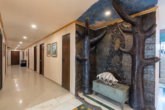 DLS The pearl x Solis Nature