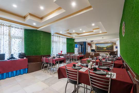 DLS The pearl x Solis Nature