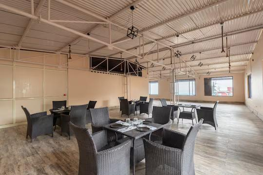 DLS The pearl x Solis Nature