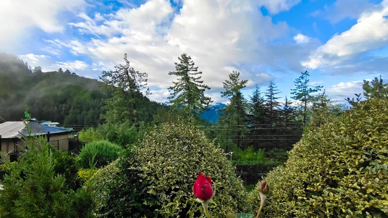 DLS Hill Crest x Solis Nature