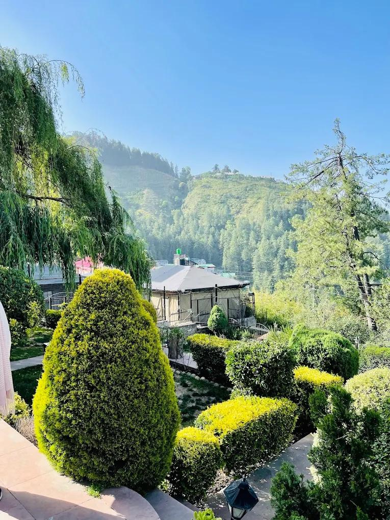 DLS Hill Crest x Solis Nature