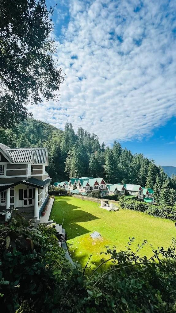 DLS Hill Crest x Solis Nature