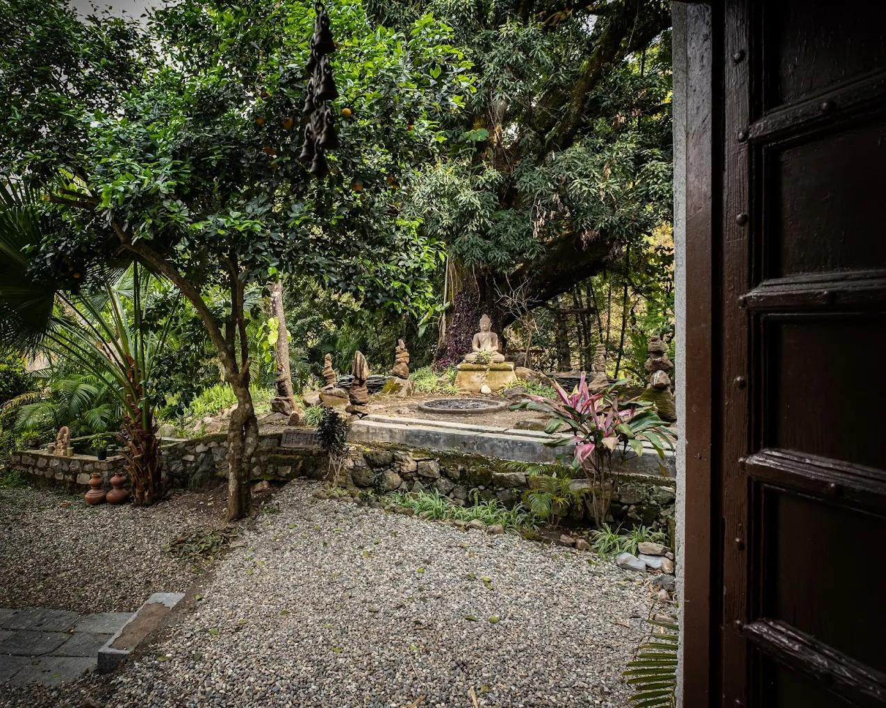 Rishis International x Solis Nature