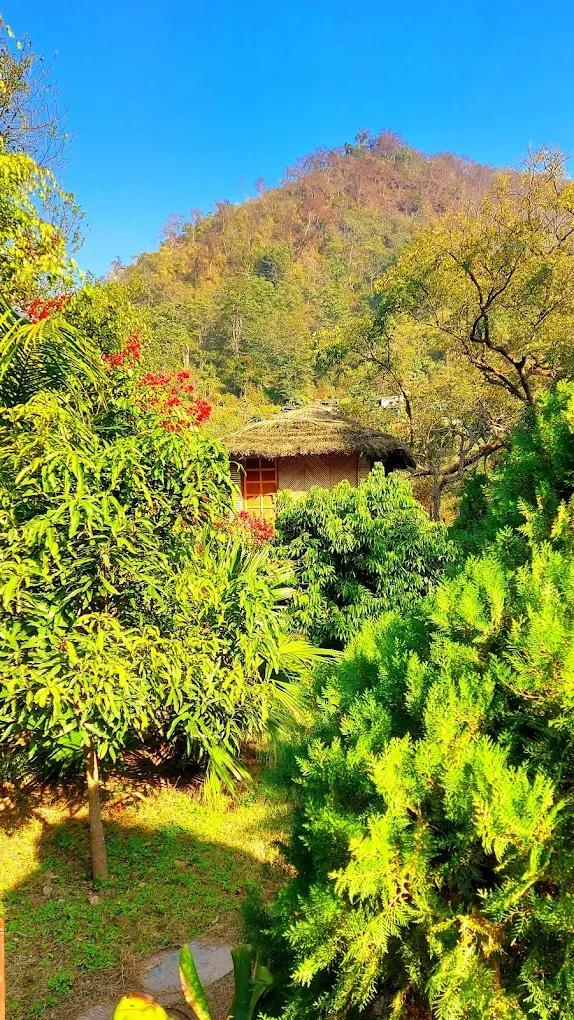 Rishis International x Solis Nature