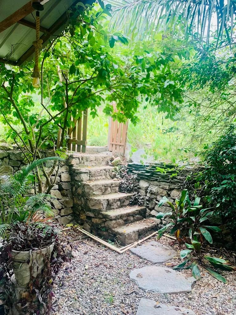 Rishis International x Solis Nature