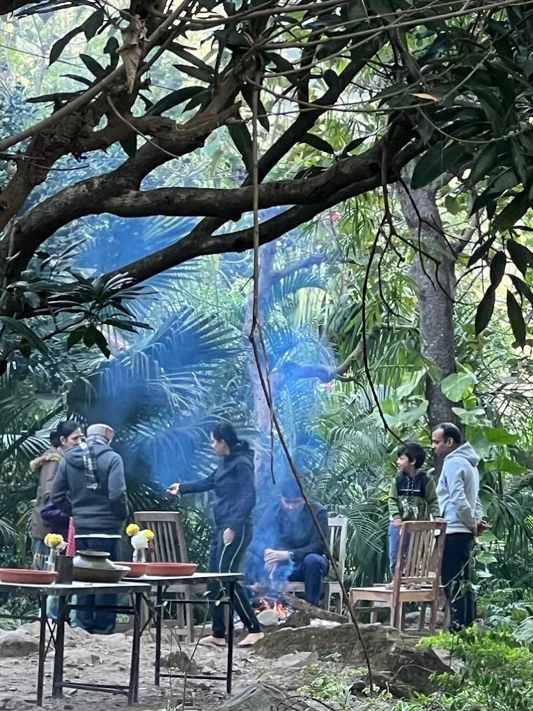 Rishis International x Solis Nature