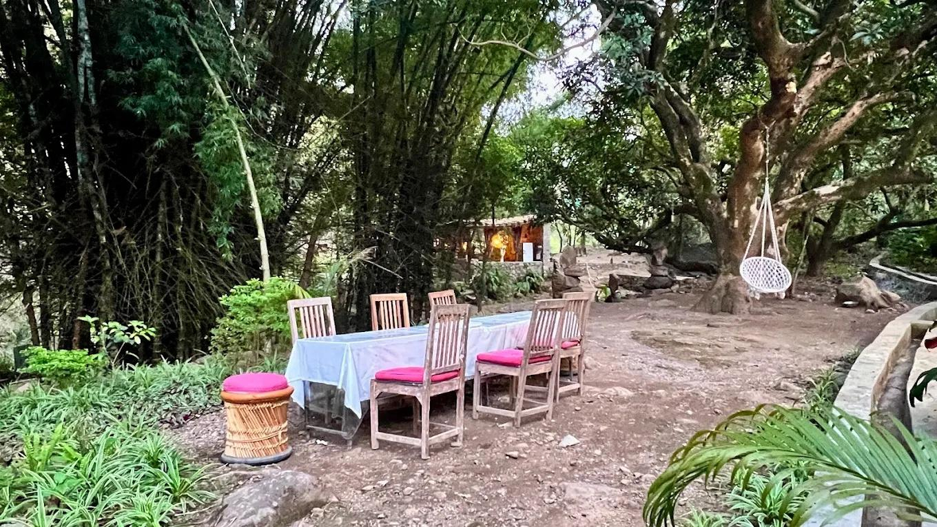 Rishis International x Solis Nature