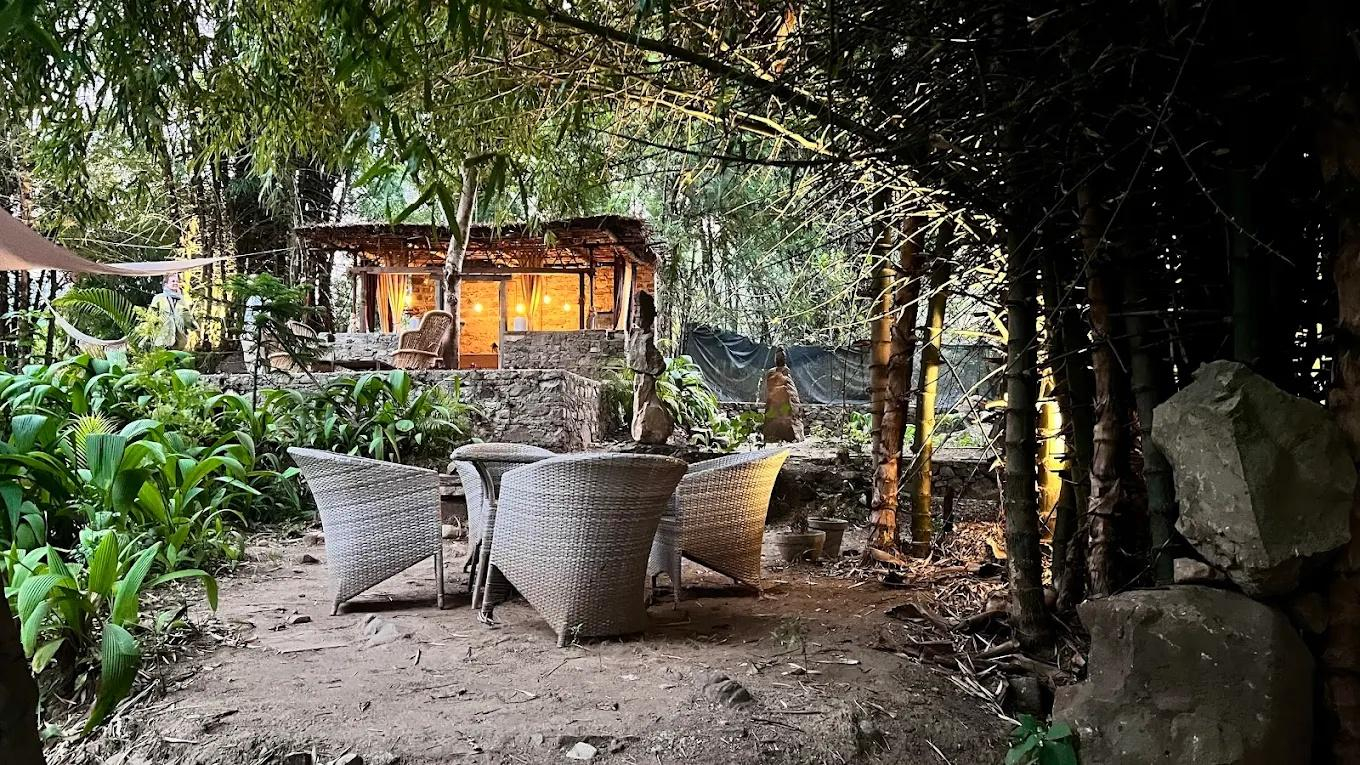 Rishis International x Solis Nature