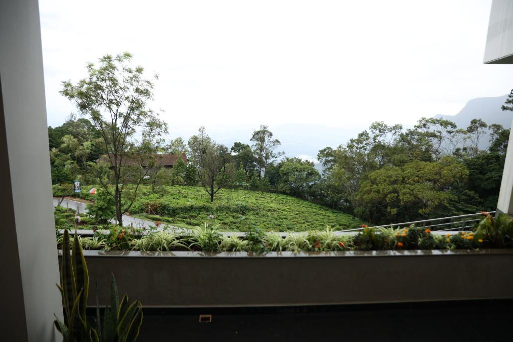 Hills and Heart Luxury stay x Solis Nature