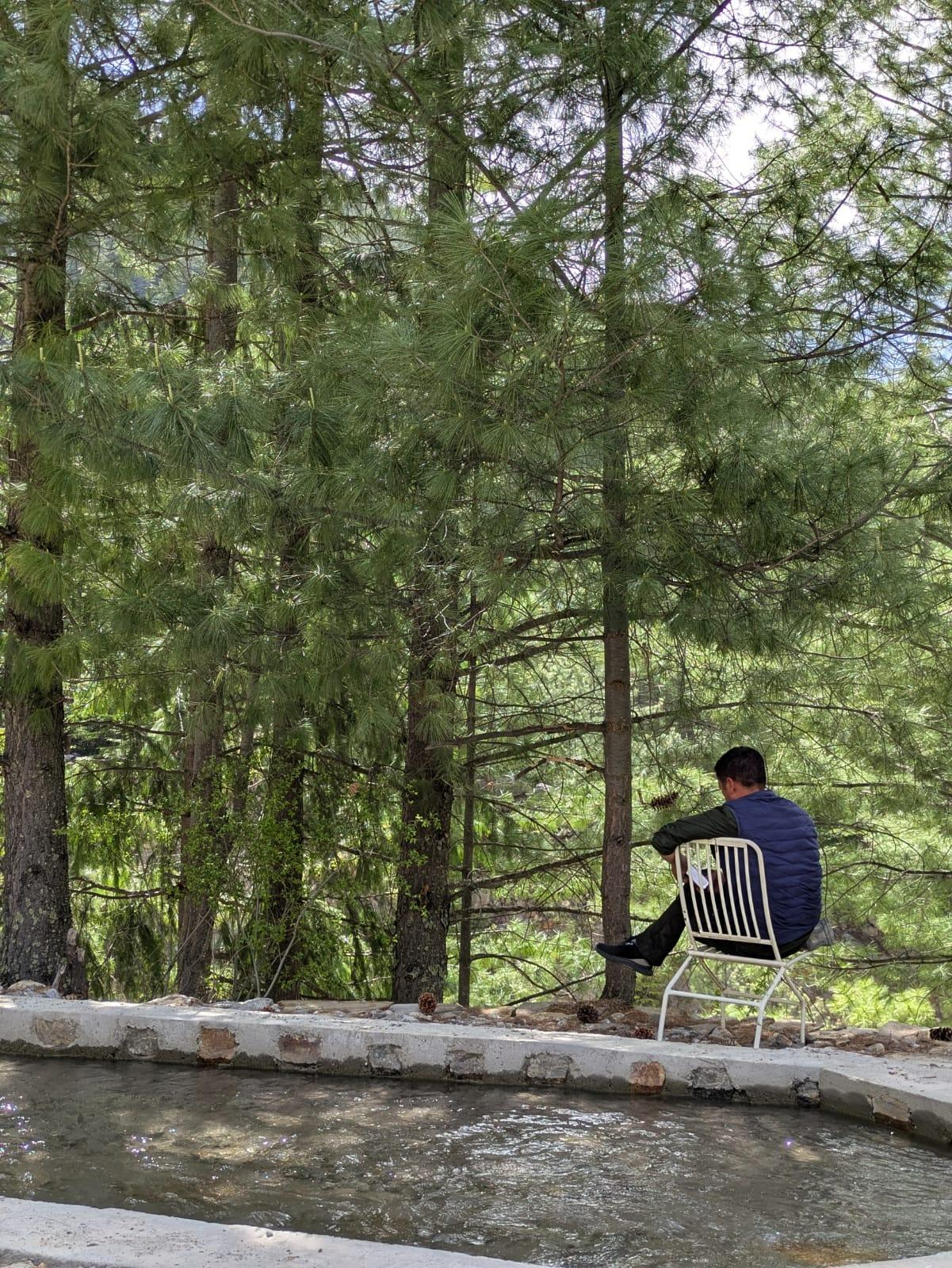 Shepherd’s Lore x Solis Nature