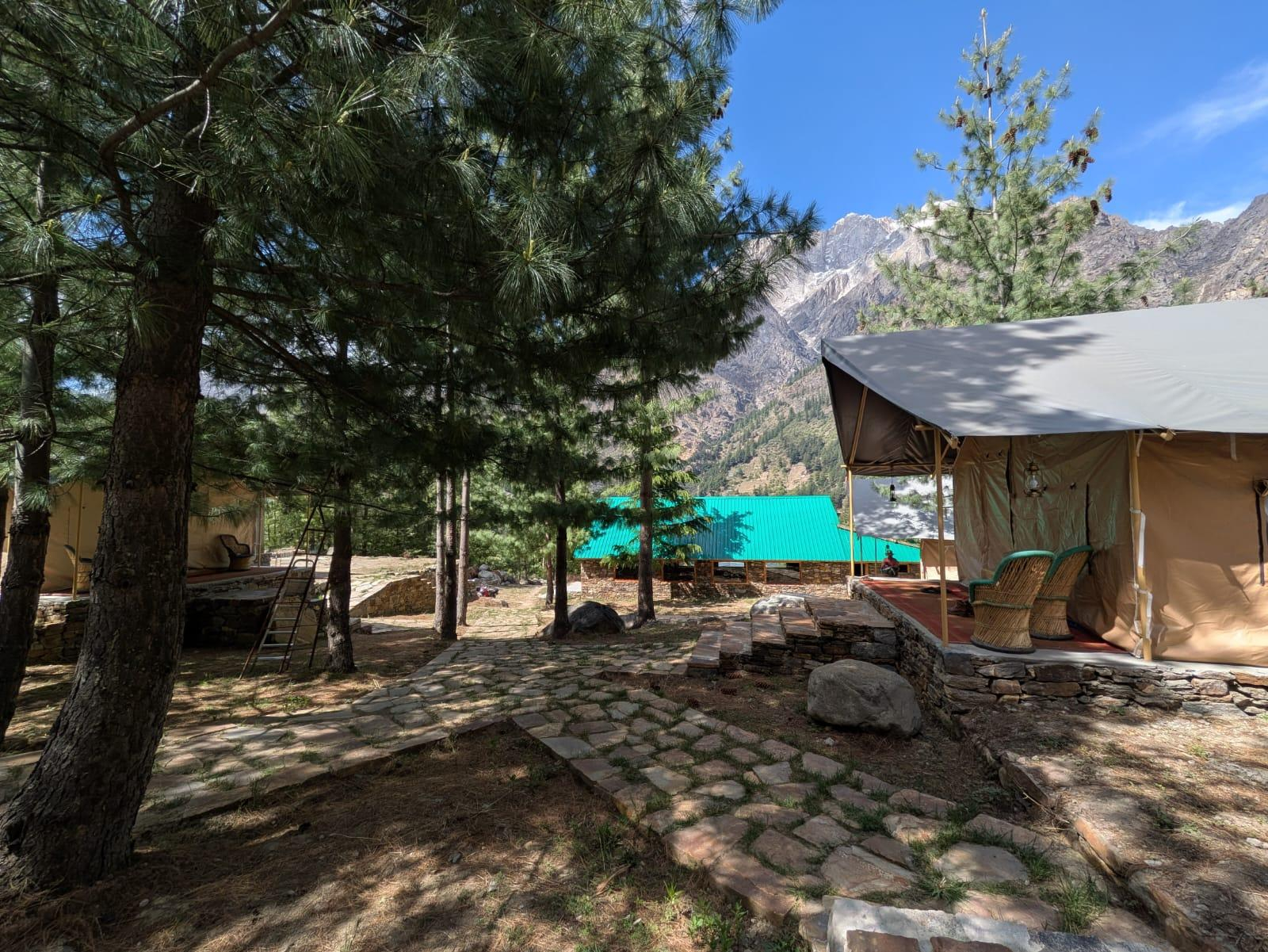 Shepherd’s Lore x Solis Nature