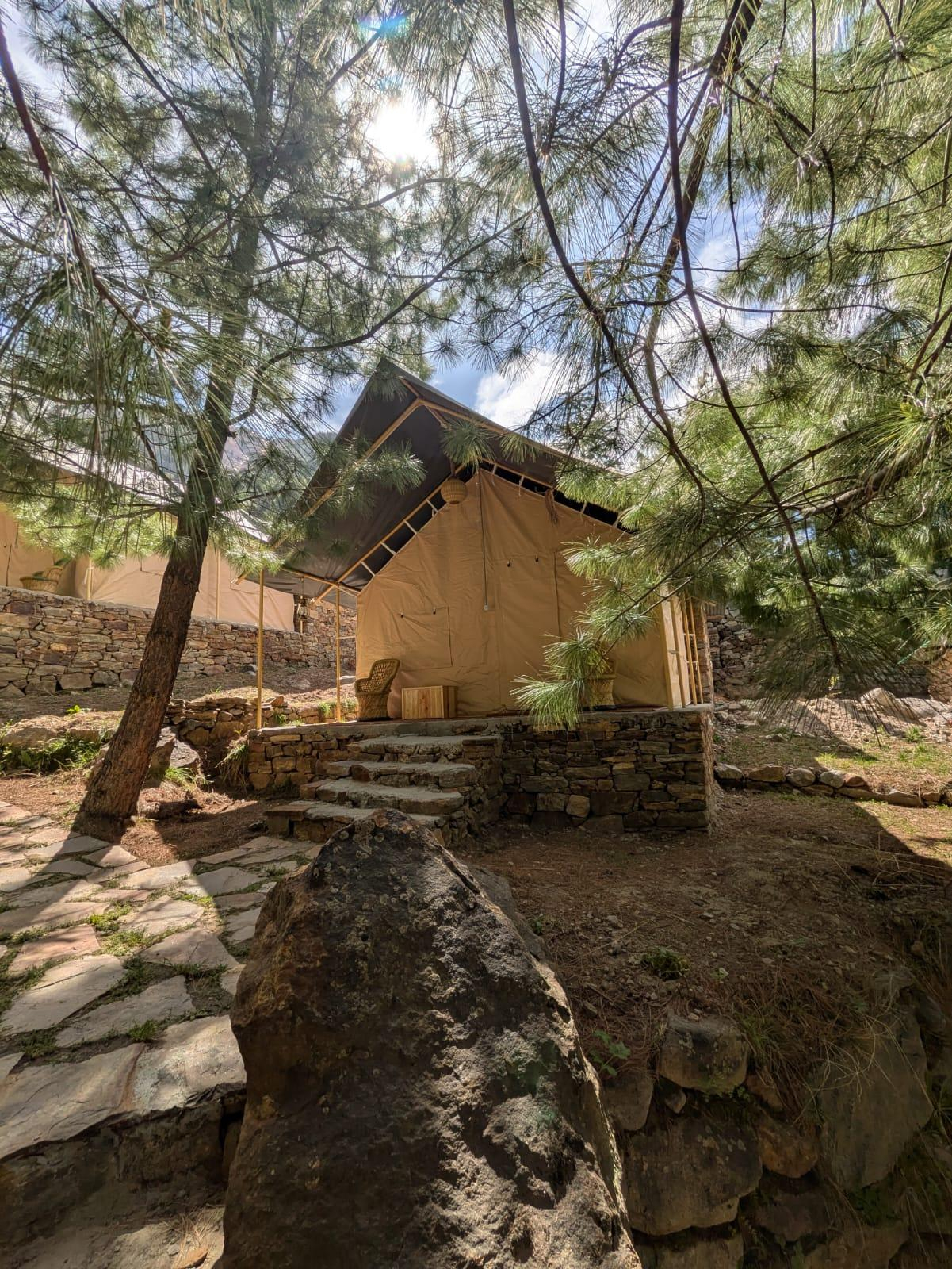 Shepherd’s Lore x Solis Nature