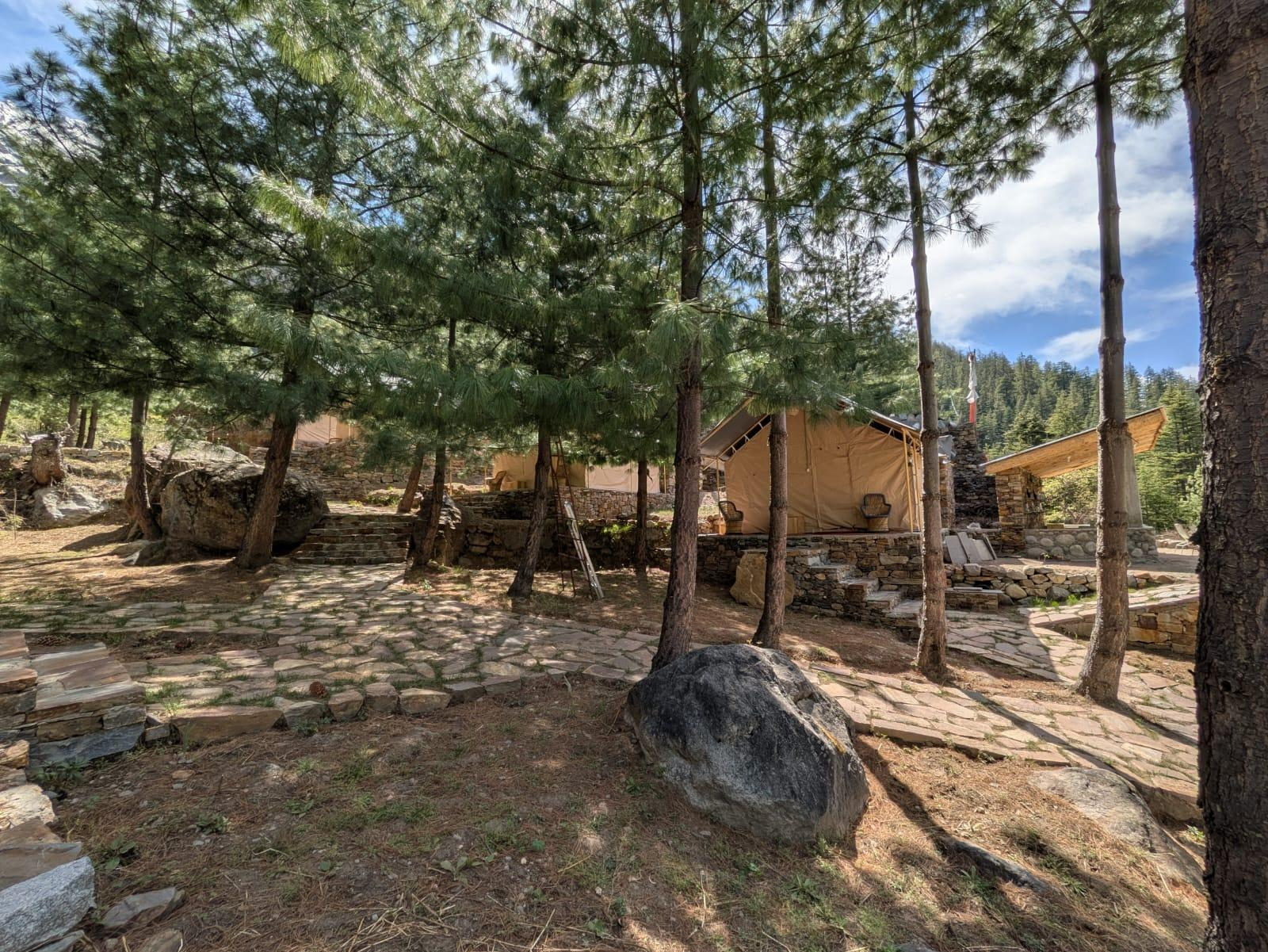 Shepherd’s Lore x Solis Nature