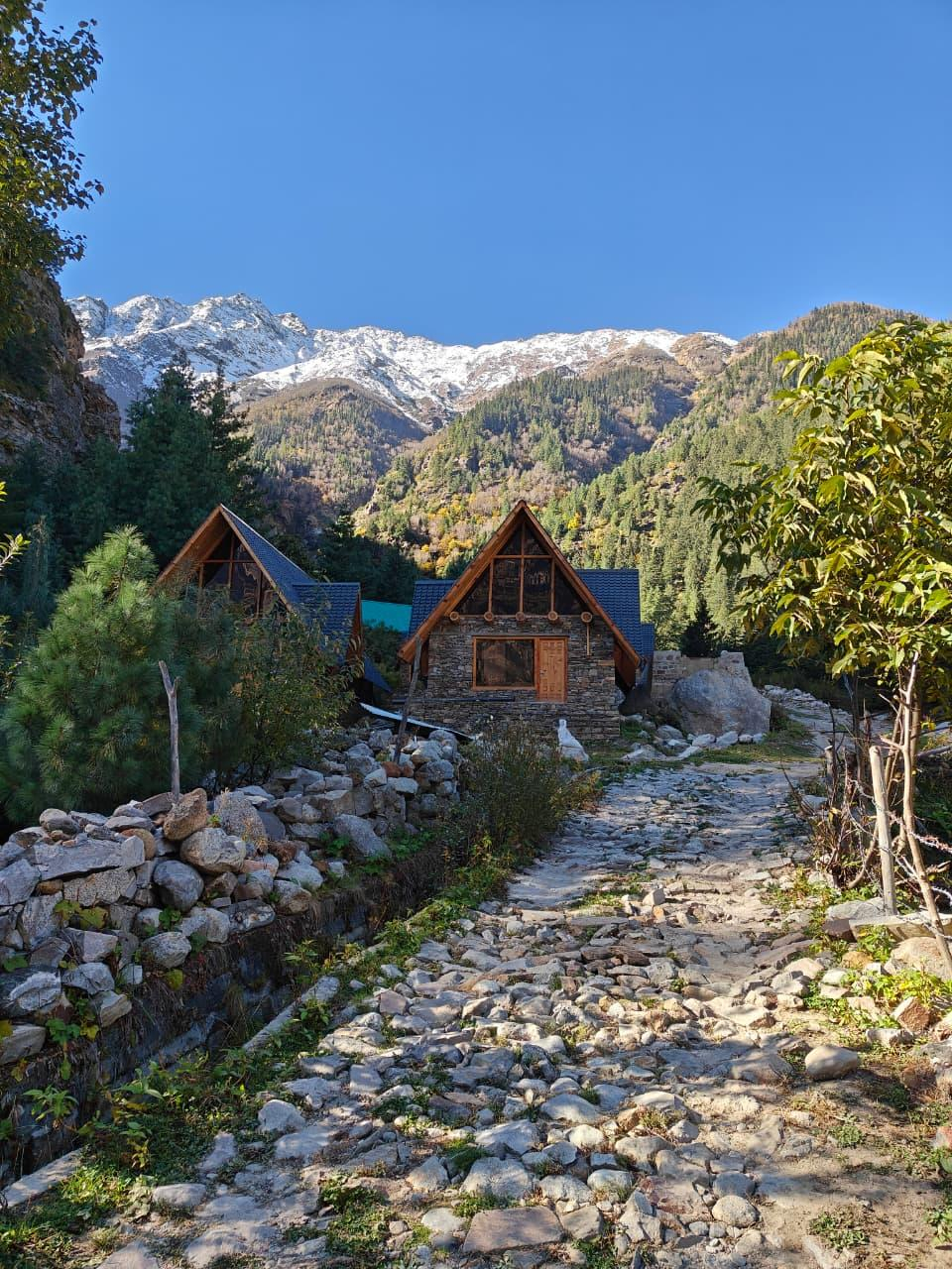 Shepherd’s Lore x Solis Nature