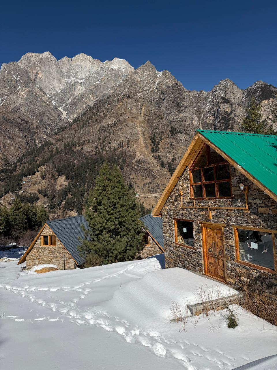 Shepherd’s Lore x Solis Nature