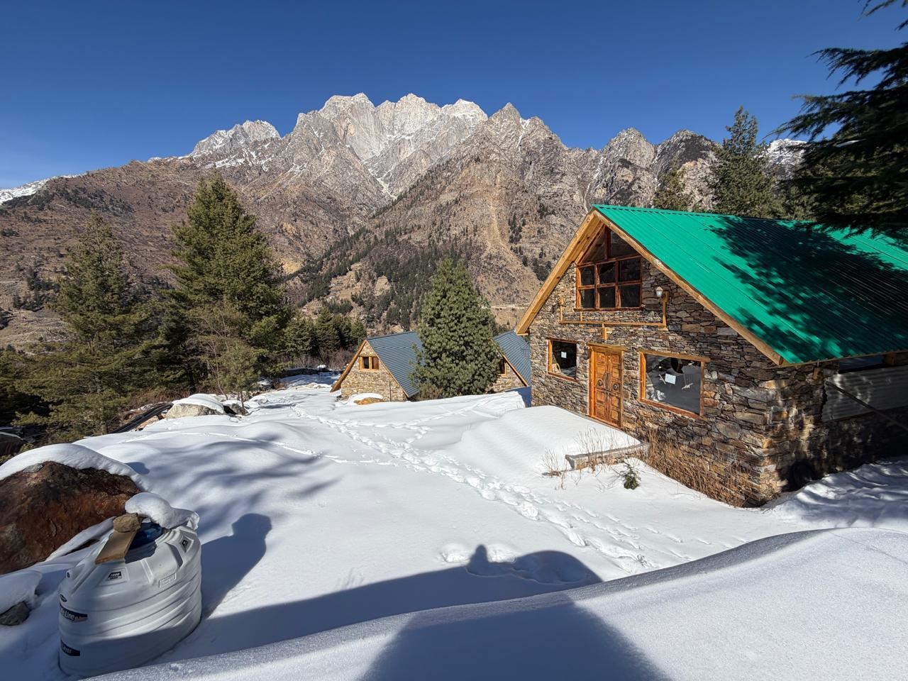 Shepherd’s Lore x Solis Nature