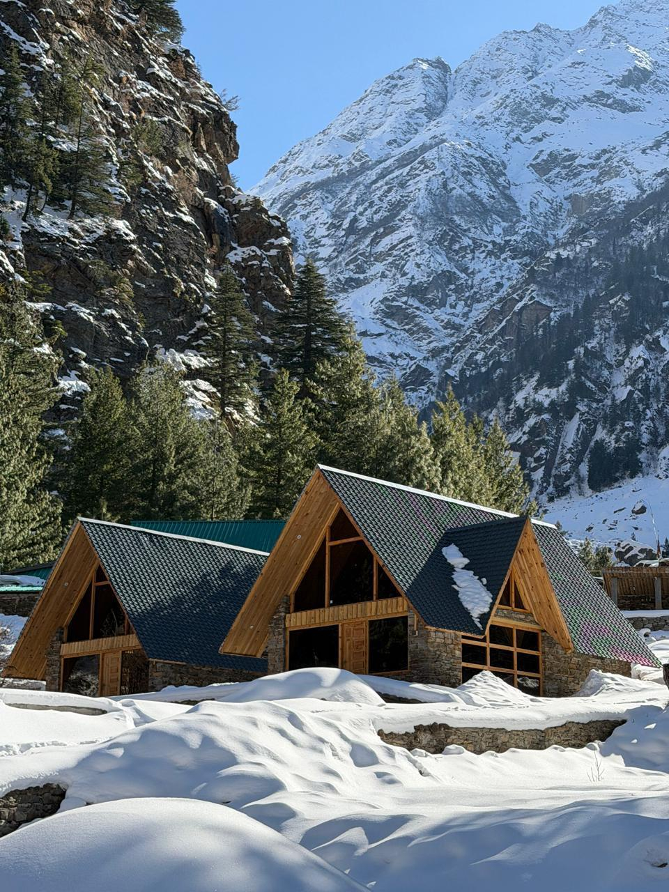 Shepherd’s Lore x Solis Nature