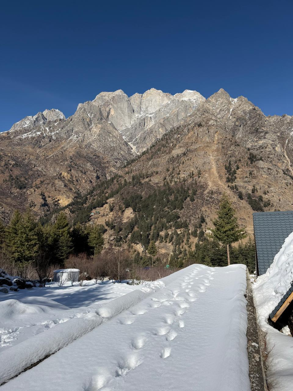 Shepherd’s Lore x Solis Nature