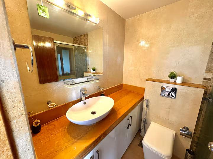 Anantam - C401 x Solis Nature