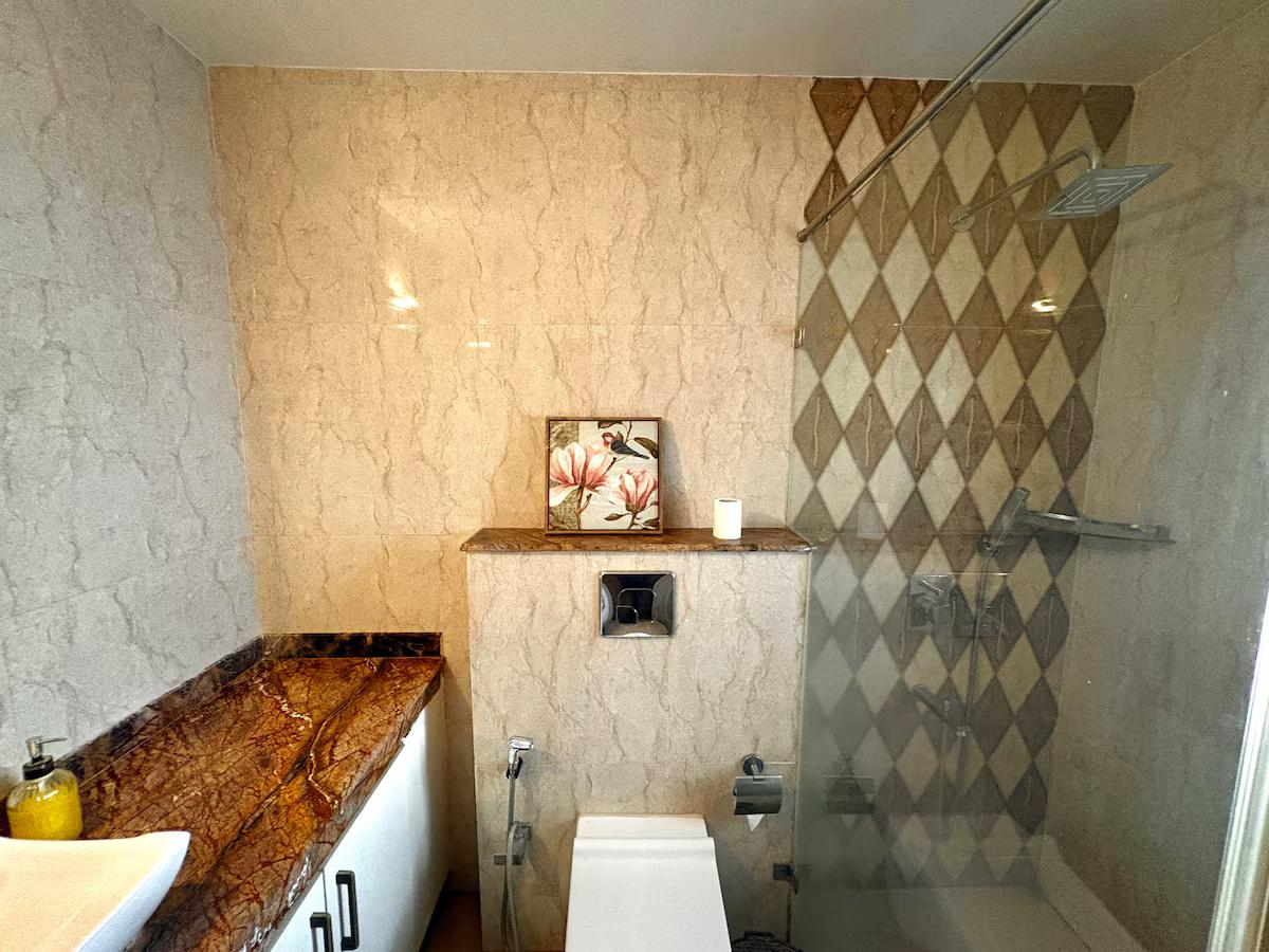 Anantam - C401 x Solis Nature