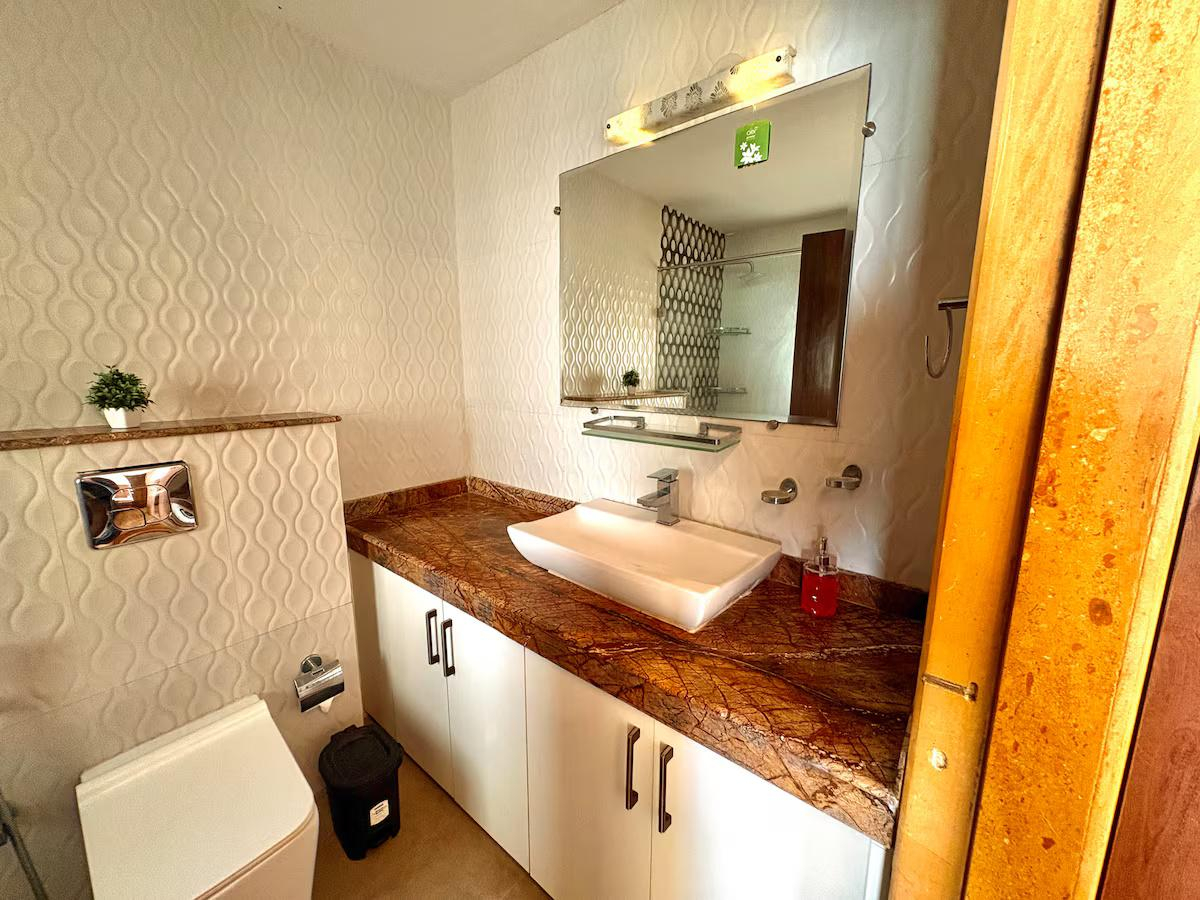 Anantam - C401 x Solis Nature