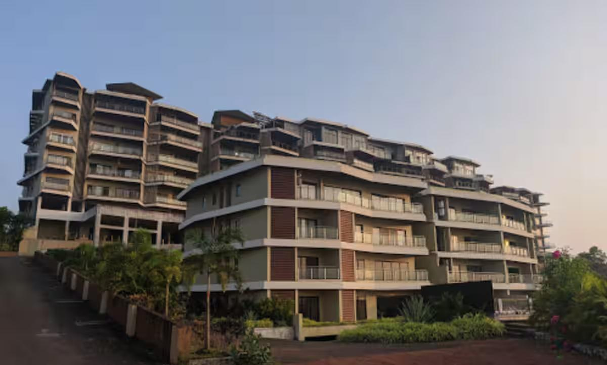 Anantam - B302 x Solis Nature