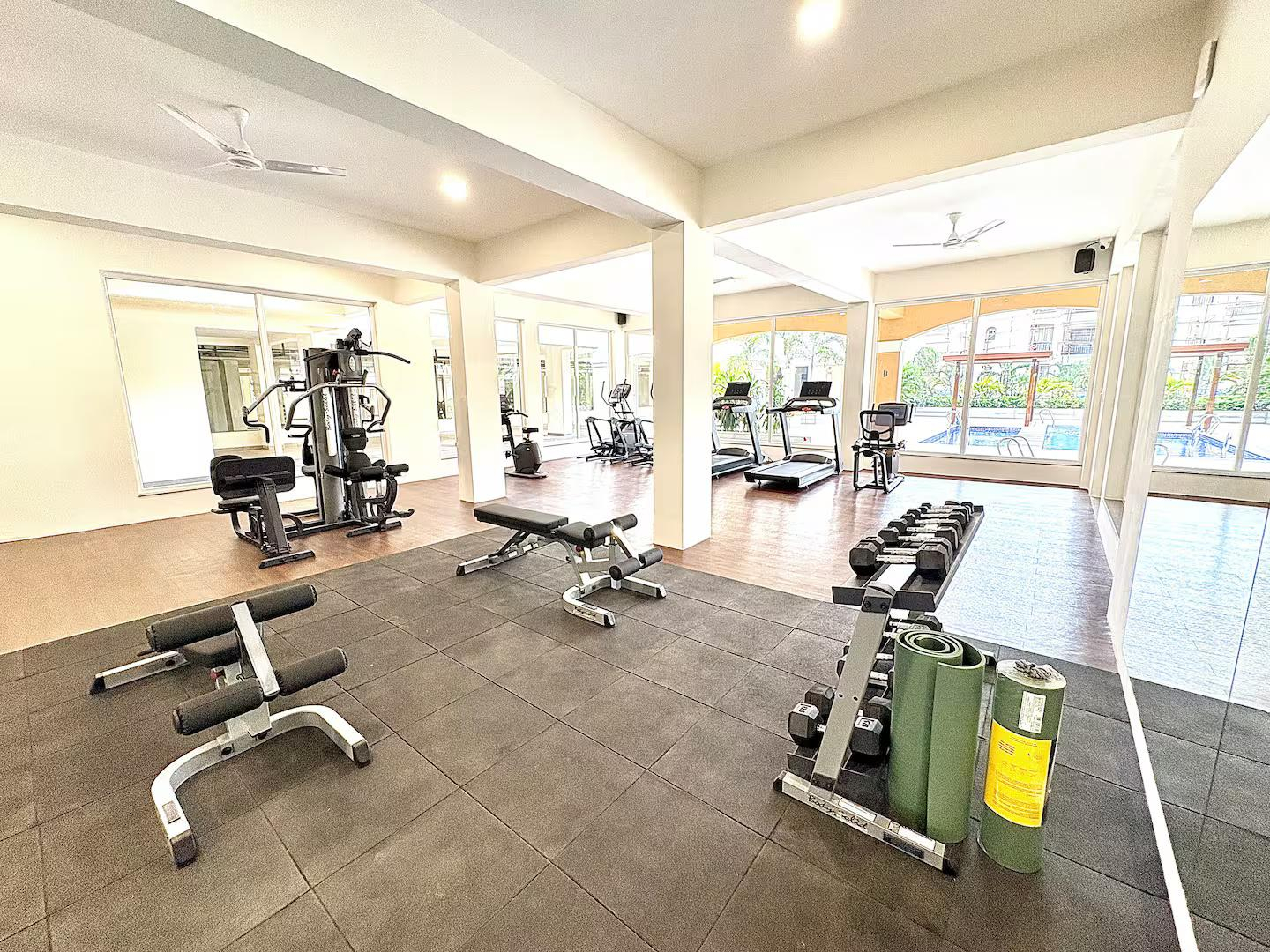 Bosque A209 x Solis Nature