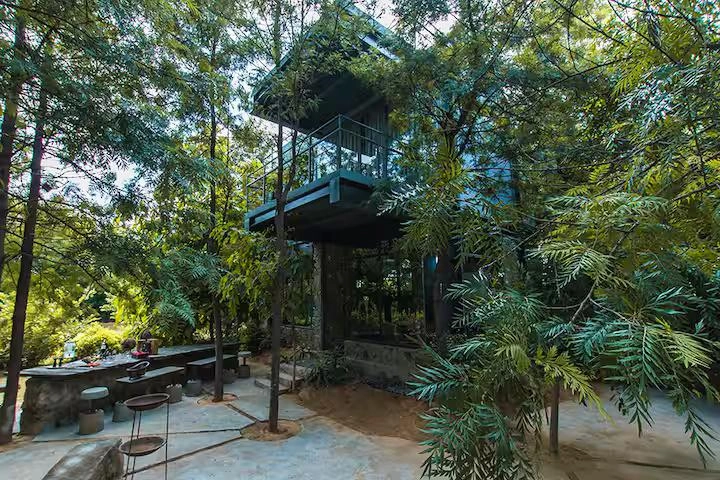 Ashwani House x Solis Nature