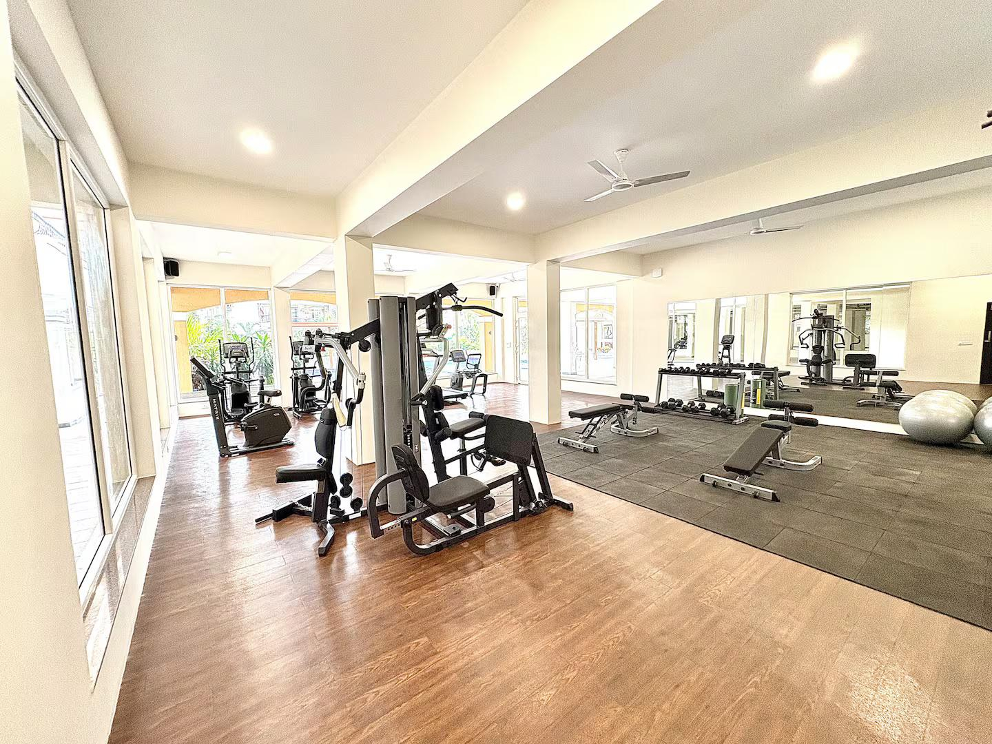 Bosque A210 x Solis Nature