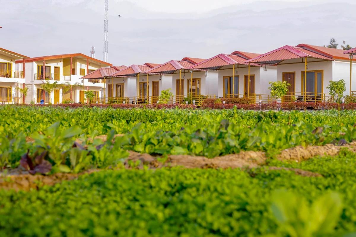 Corbett Tranquil Tigers Resort x Solis Nature