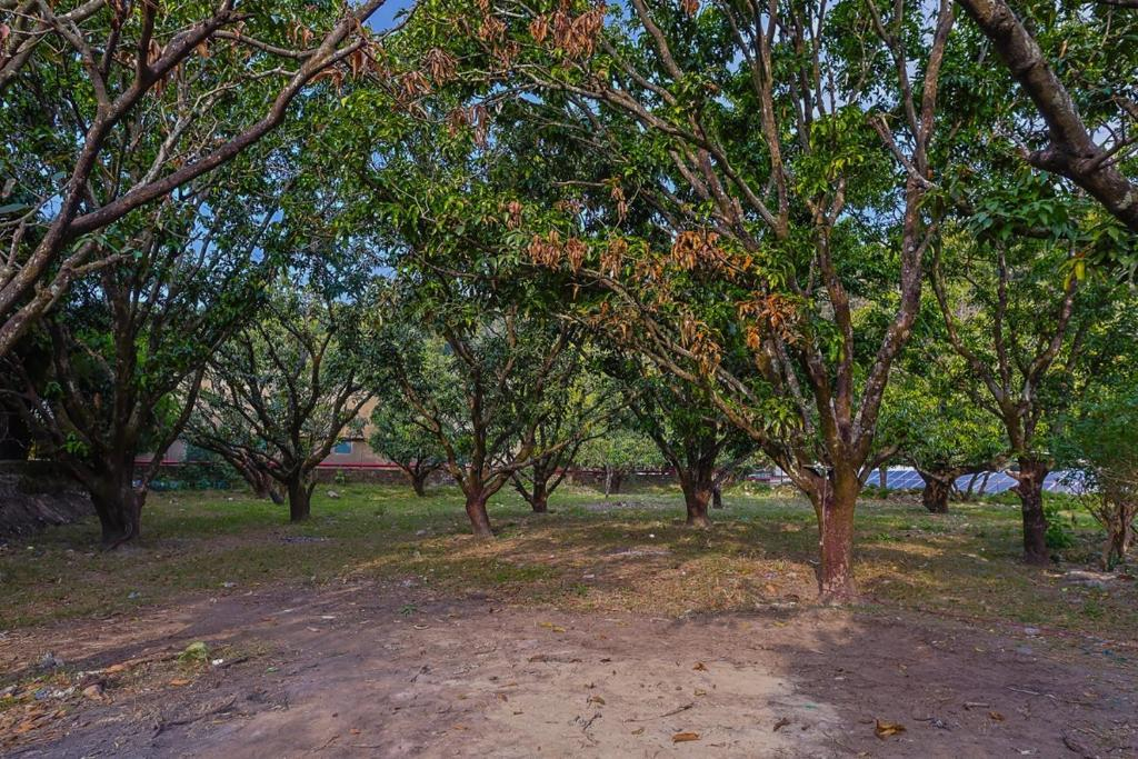 Tripp Jim Corbett A River Access Resort x Solis Nature