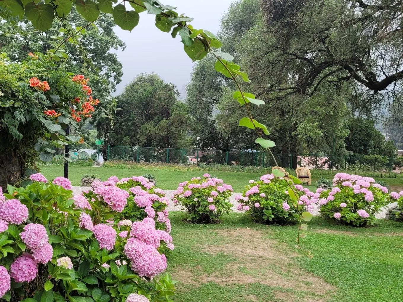 Balrampur House Heritage Hotels in Nainital x Solis Nature