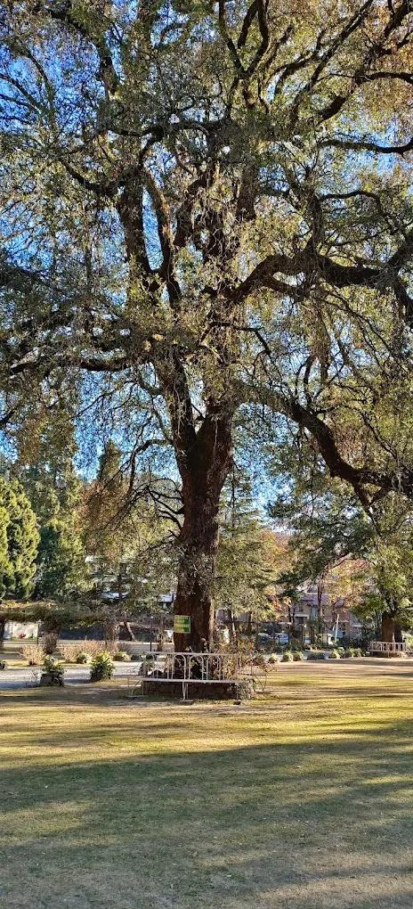 Balrampur House Heritage Hotels in Nainital x Solis Nature