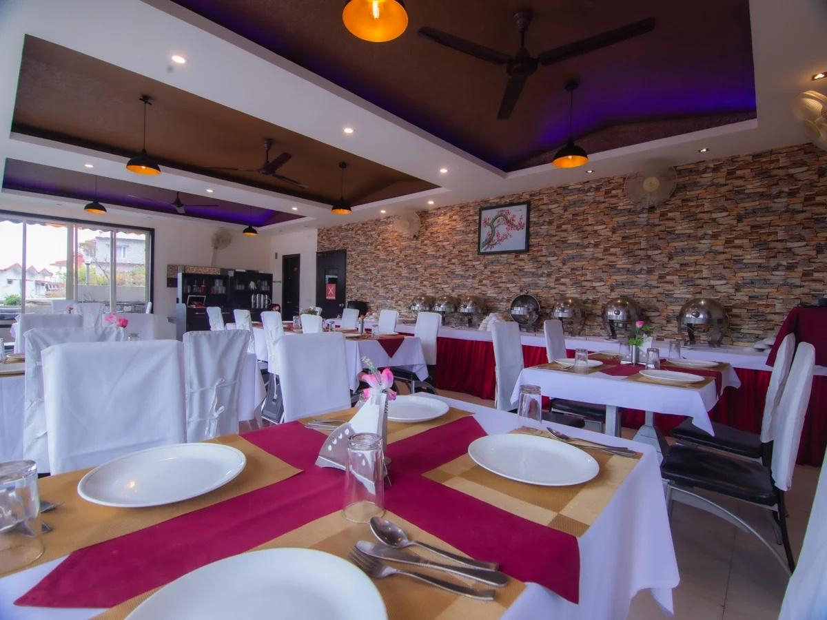 The Tal Paradise x Solis Nature