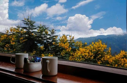 Shivani Foods And Resort, Ranikhet x Solis Nature