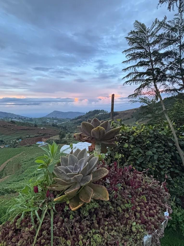 Silent Valley Farm Resort by VOYE HOMES x Solis Nature