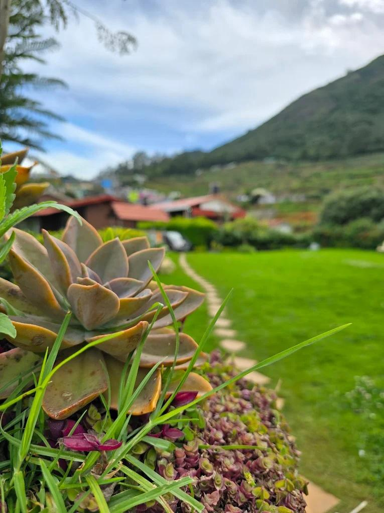 Silent Valley Farm Resort by VOYE HOMES x Solis Nature