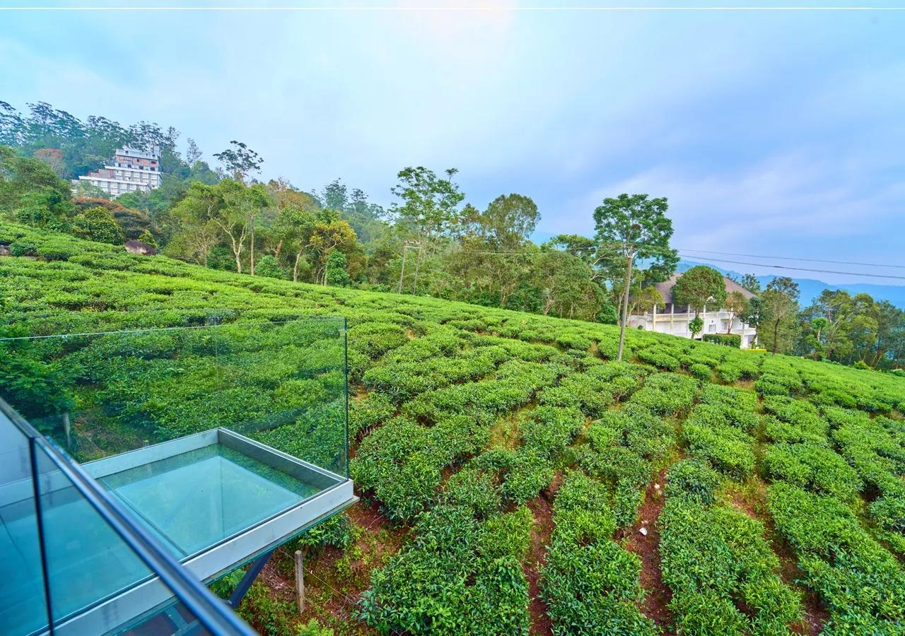 The Saray Munnar by VOYE HOMES x Solis Nature