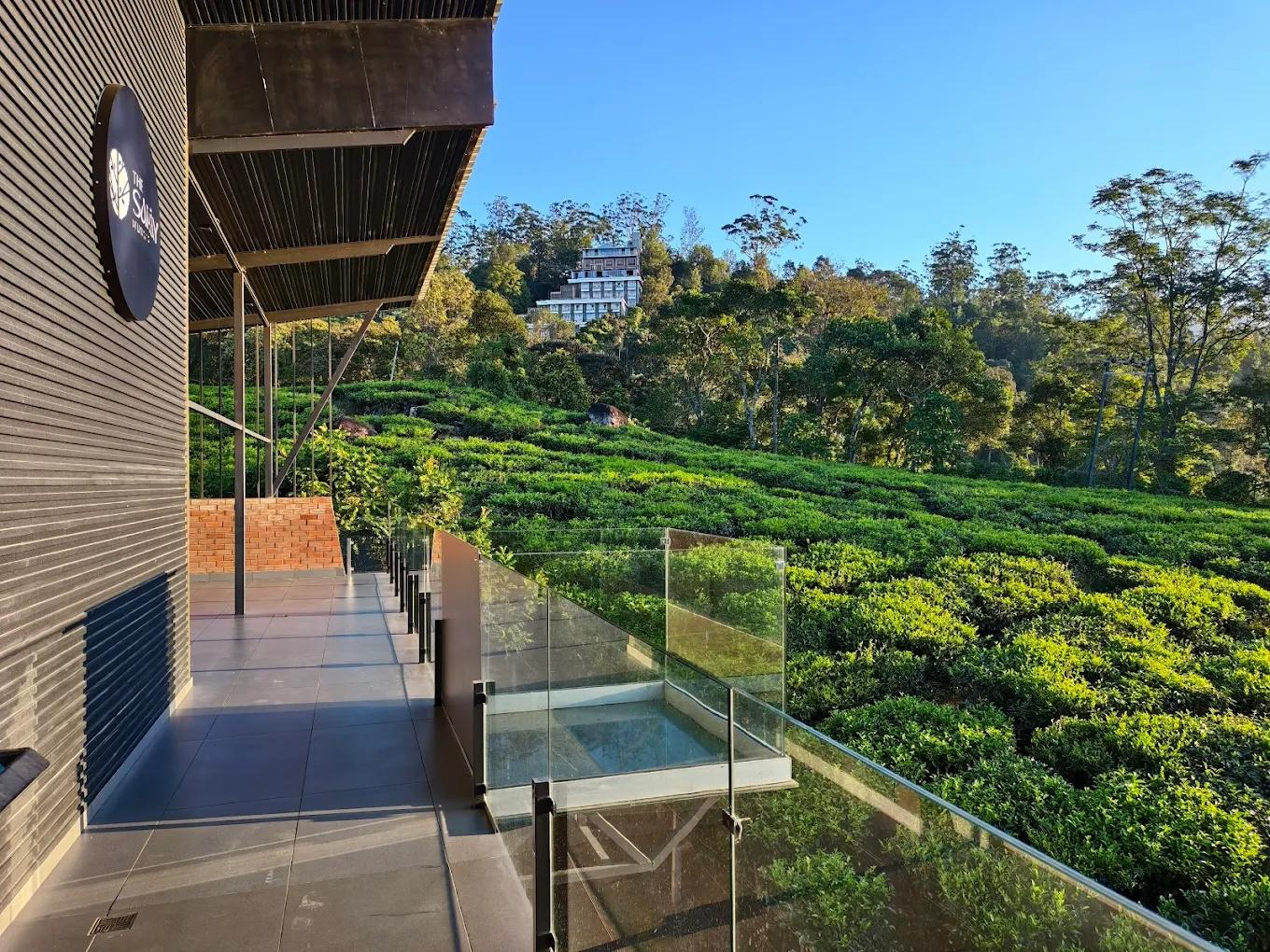 The Saray Munnar by VOYE HOMES x Solis Nature