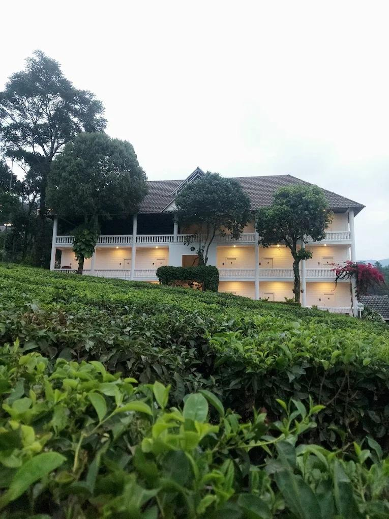 The Saray Munnar by VOYE HOMES x Solis Nature